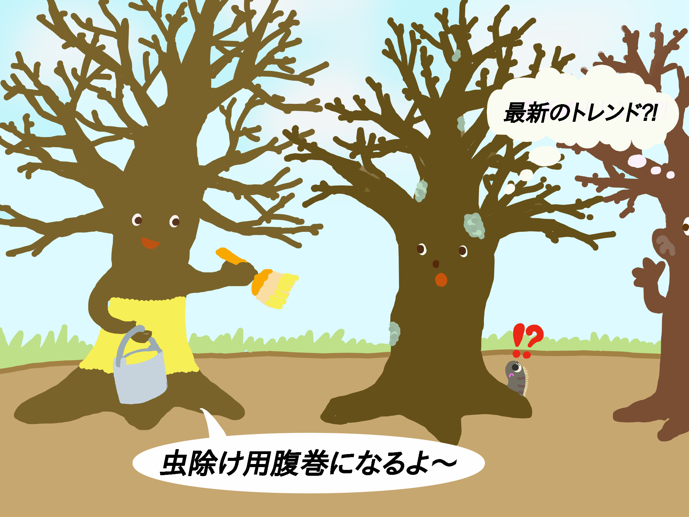 桜の腹巻き 松の 菰巻き に代わる冬の新風物詩 科学実験データ 科学実験データベース 公益財団法人日本科学協会